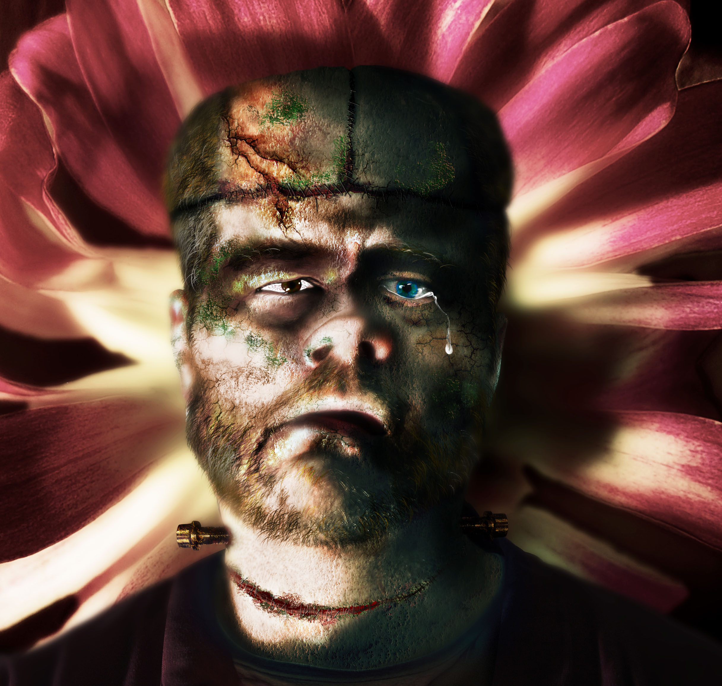 Demo for Monster photo manipulation project